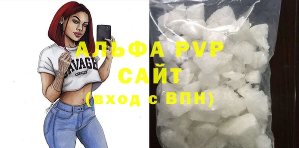 крисы Новозыбков