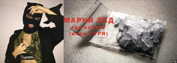 крисы Новозыбков