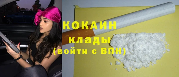 крисы Новозыбков