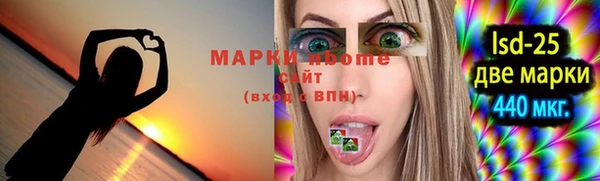 крисы Новозыбков