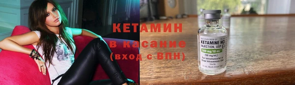крисы Новозыбков
