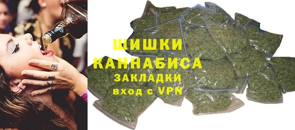 PSILOCYBIN Новодвинск