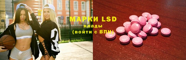крисы Новозыбков