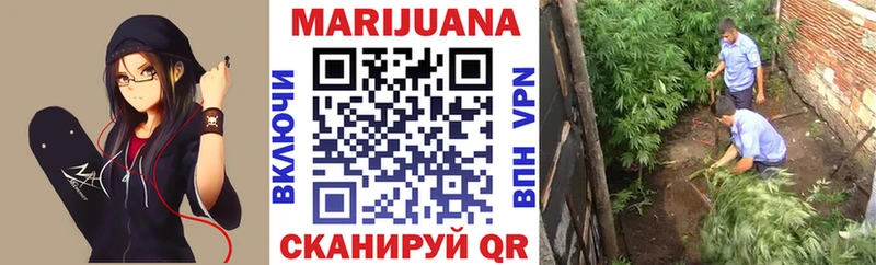 МАРИХУАНА план Вятские Поляны